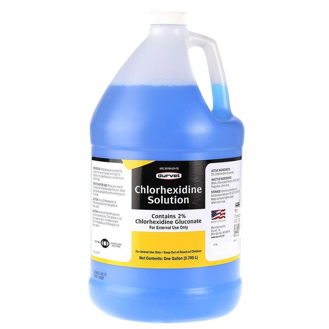 Durvet Chlorhexidine Solution Horse & Dog Antibacterial Wound Cleaner, 1-gal bottle