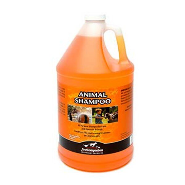 First Companion Animal Shampoo-1gallon